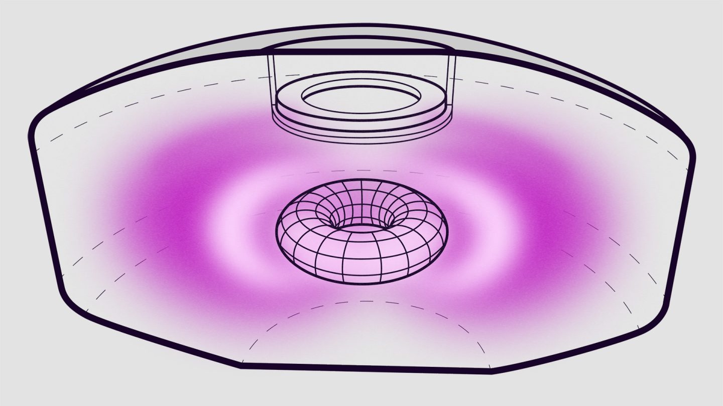Schematic of Levitated Dipole in the chamber