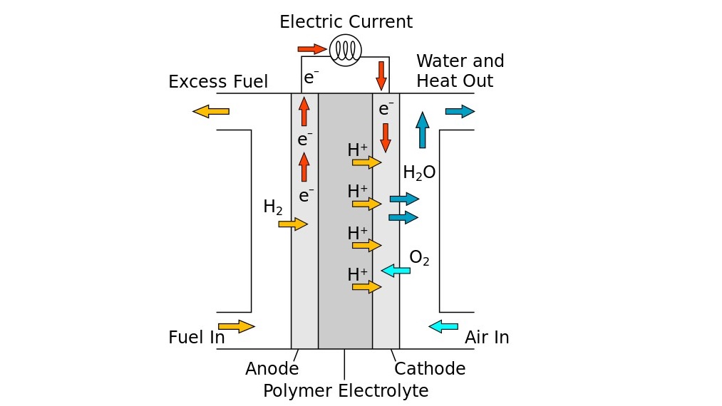 Diagram of a proton exchange membrane fuel cell
